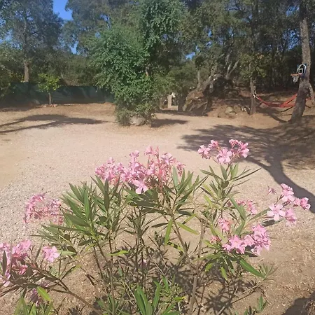En Entorno Natural De La Costa Brava *